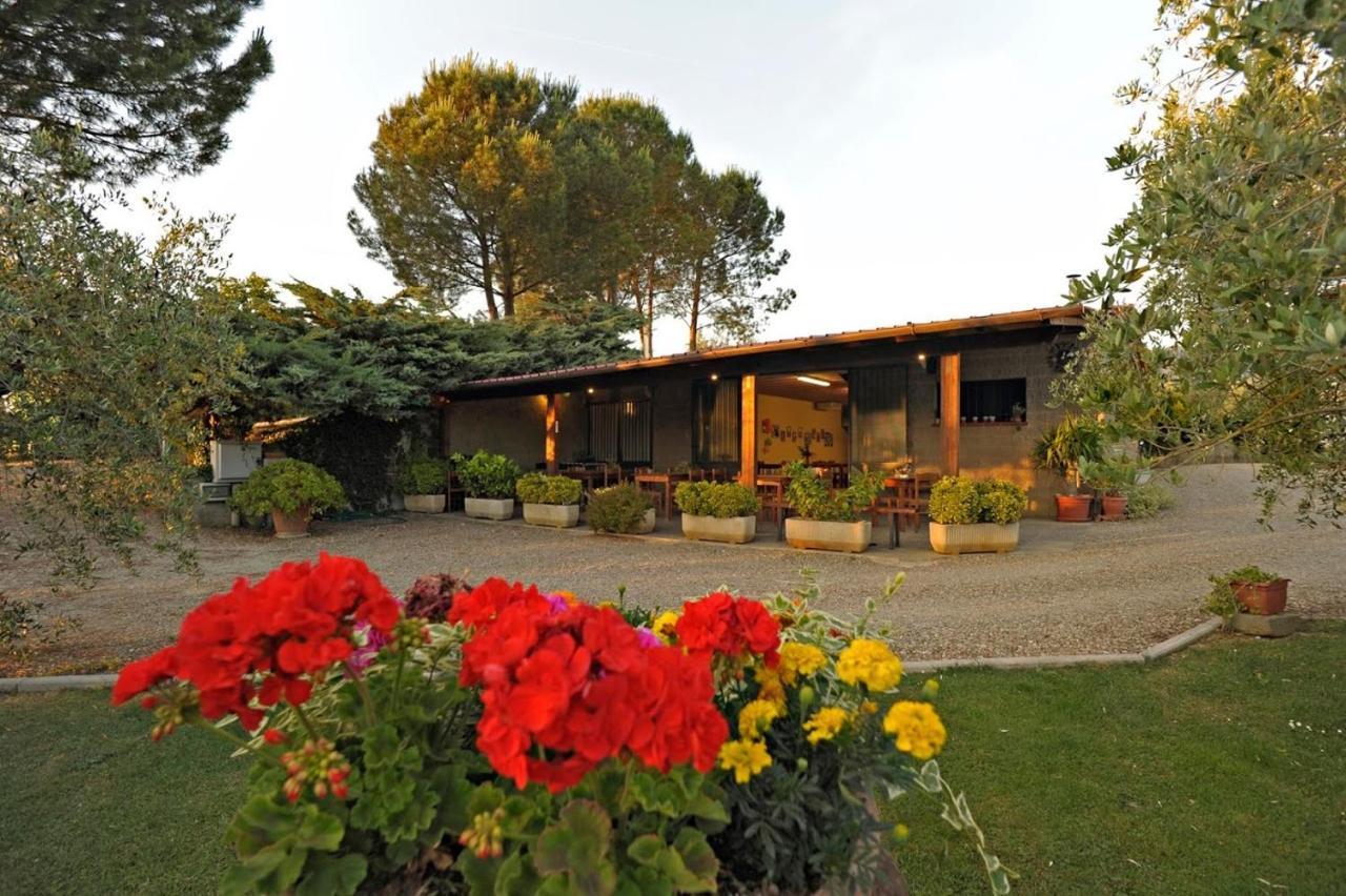 Agriturismo Bellosguardo Реджелло Екстер'єр фото
