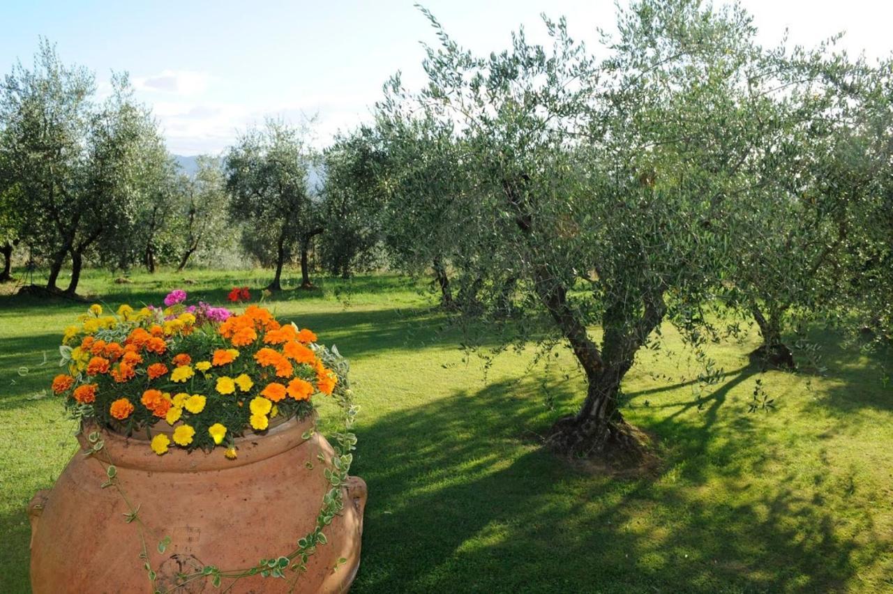 Agriturismo Bellosguardo Реджелло Екстер'єр фото